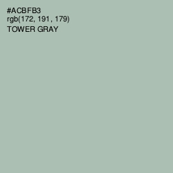 #ACBFB3 - Tower Gray Color Image