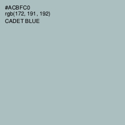 #ACBFC0 - Cadet Blue Color Image