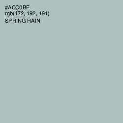 #ACC0BF - Spring Rain Color Image
