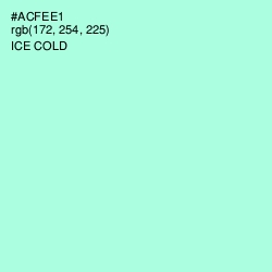 #ACFEE1 - Ice Cold Color Image