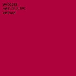 #AD023B - Shiraz Color Image