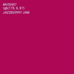 #AD0957 - Jazzberry Jam Color Image
