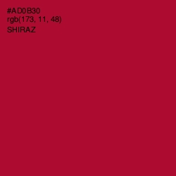 #AD0B30 - Shiraz Color Image