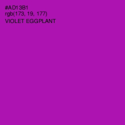 #AD13B1 - Violet Eggplant Color Image