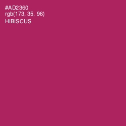 #AD2360 - Hibiscus Color Image