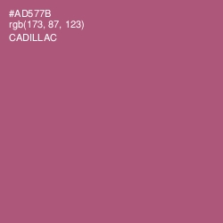 #AD577B - Cadillac Color Image