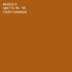#AD5D13 - Fiery Orange Color Image