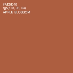 #AD5D40 - Apple Blossom Color Image