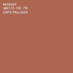 #AD664F - Cape Palliser Color Image
