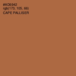 #AD6942 - Cape Palliser Color Image