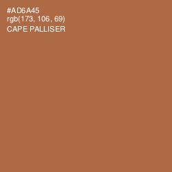 #AD6A45 - Cape Palliser Color Image