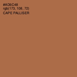 #AD6C48 - Cape Palliser Color Image