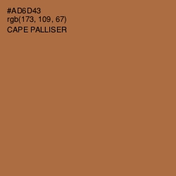 #AD6D43 - Cape Palliser Color Image