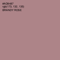 #AD8487 - Brandy Rose Color Image