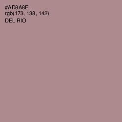 #AD8A8E - Del Rio Color Image