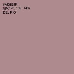 #AD8B8F - Del Rio Color Image