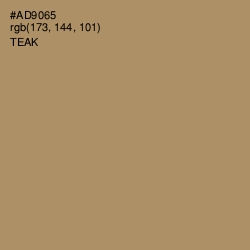 #AD9065 - Teak Color Image
