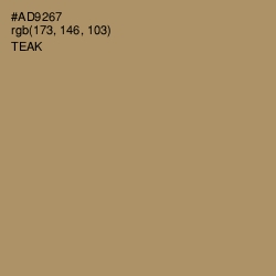 #AD9267 - Teak Color Image