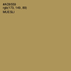 #AD9559 - Muesli Color Image