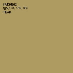 #AD9B62 - Teak Color Image