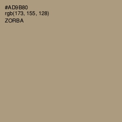 #AD9B80 - Zorba Color Image