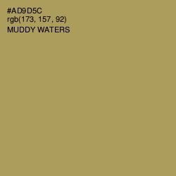 #AD9D5C - Muddy Waters Color Image