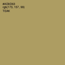 #AD9D63 - Teak Color Image