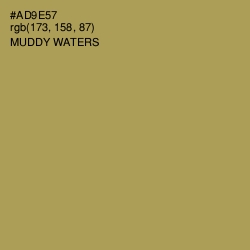 #AD9E57 - Muddy Waters Color Image