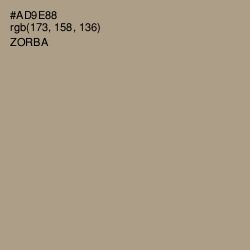 #AD9E88 - Zorba Color Image