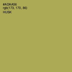 #ADAA56 - Husk Color Image