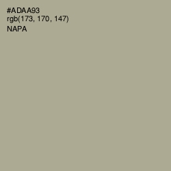 #ADAA93 - Napa Color Image