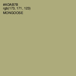 #ADAB7B - Mongoose Color Image