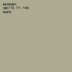 #ADAB91 - Napa Color Image