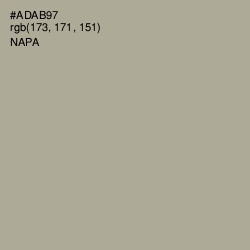 #ADAB97 - Napa Color Image