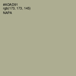 #ADAD91 - Napa Color Image