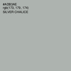 #ADB3AE - Silver Chalice Color Image