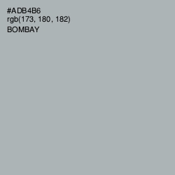 #ADB4B6 - Bombay Color Image