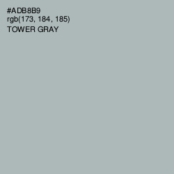 #ADB8B9 - Tower Gray Color Image