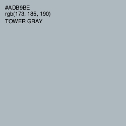#ADB9BE - Tower Gray Color Image