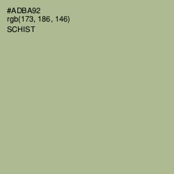 #ADBA92 - Schist Color Image