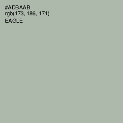#ADBAAB - Eagle Color Image