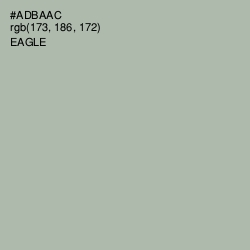 #ADBAAC - Eagle Color Image