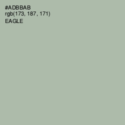 #ADBBAB - Eagle Color Image