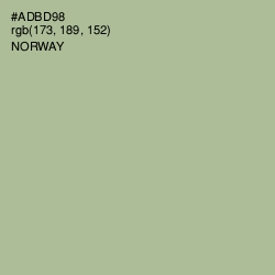 #ADBD98 - Norway Color Image