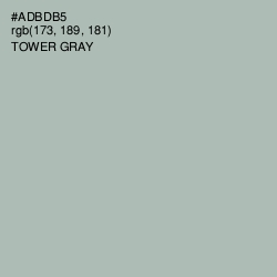 #ADBDB5 - Tower Gray Color Image