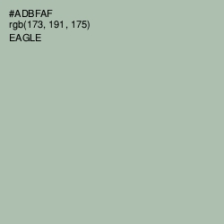 #ADBFAF - Eagle Color Image