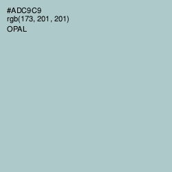 #ADC9C9 - Opal Color Image