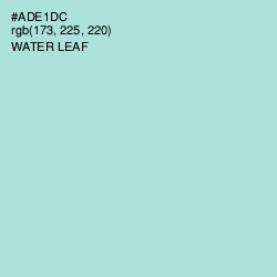 #ADE1DC - Water Leaf Color Image