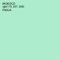 #ADEDCD - Padua Color Image