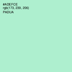 #ADEFCE - Padua Color Image